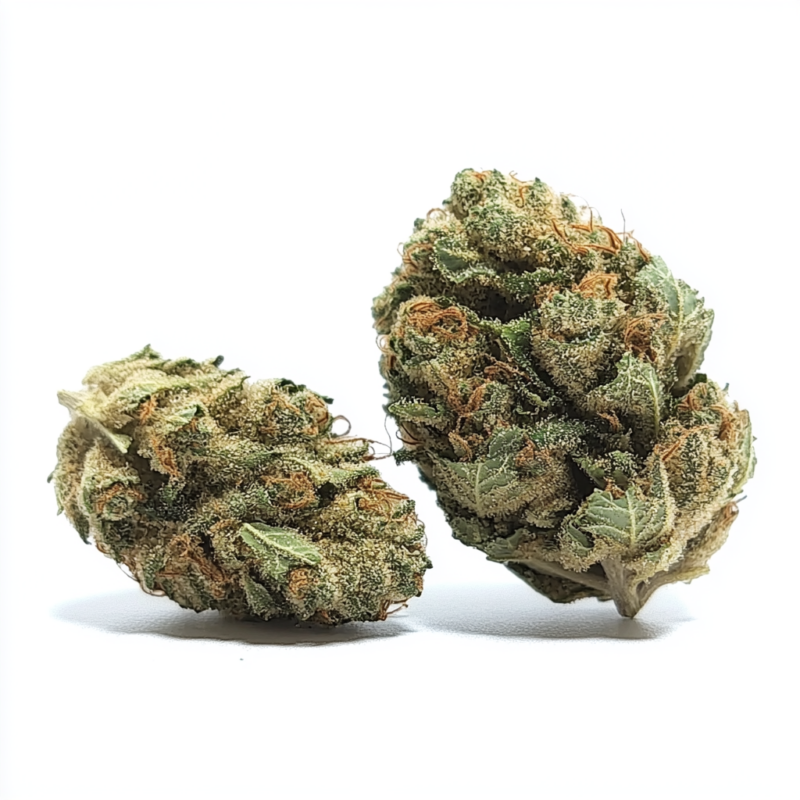 Chocolate Thai Strain